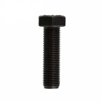 GM 14 Bolt Ring Gear Bolts - 4.10 & Down Case